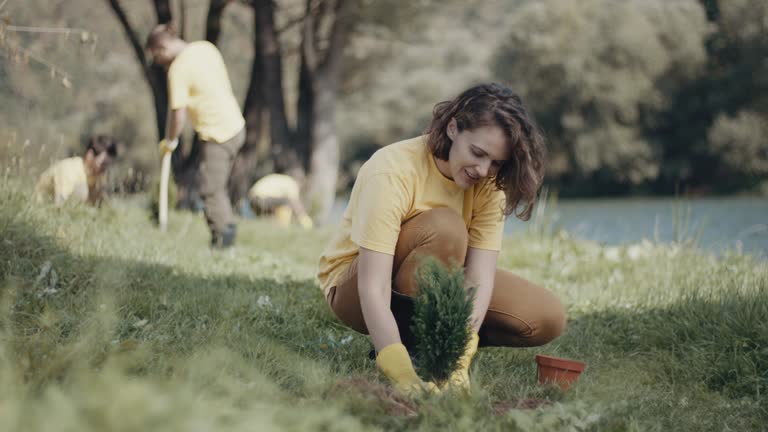 Best Root Management and Removal  in Cedar Ridge, CA